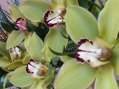 IMG_8488.JPG