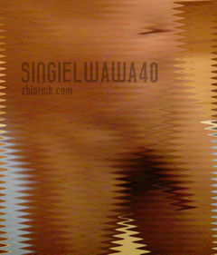 DSC00304.JPG