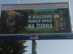I wszystko na ten temat.. 
