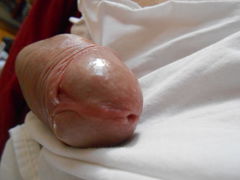 DSCN1471.JPG