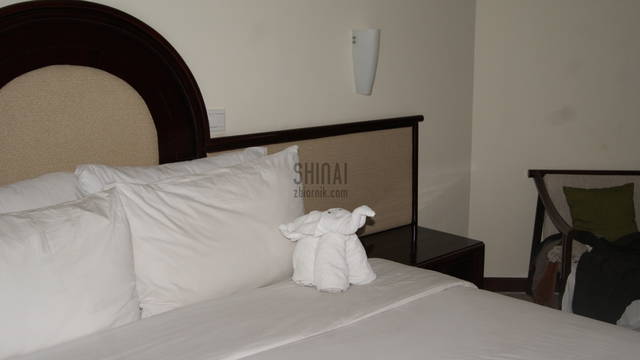 Shinai