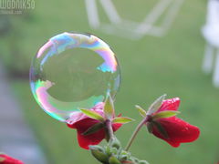 IMG_8947.JPG
