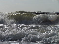 IMG_9000.JPG