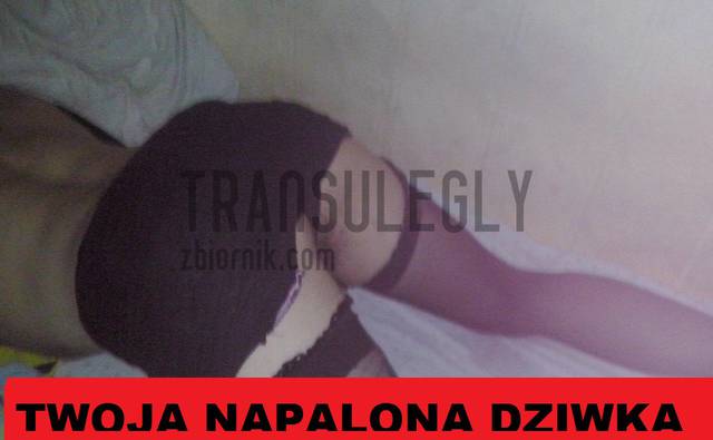 CAM00167.jpg - transulegly