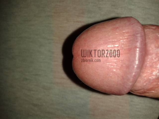 wiktor2000