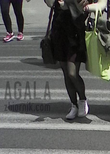 IMG_20140625_130848cz.jpg - AGALA