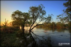 3_i1287390.jpg