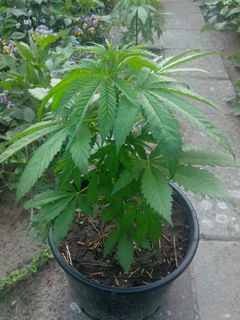 IMG-20140606-WA0004.jpg