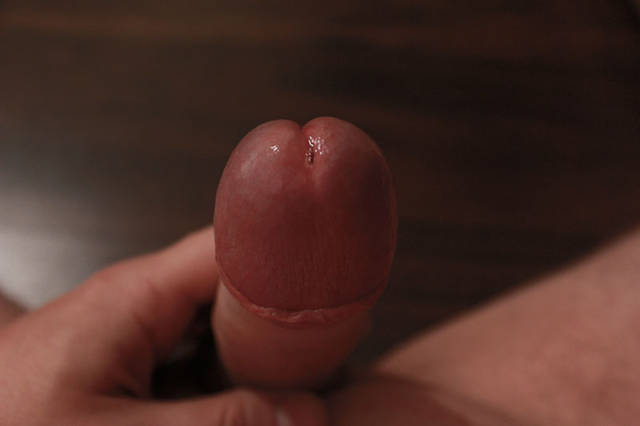 kraki31
