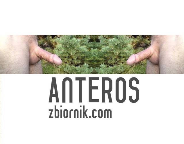 anteros