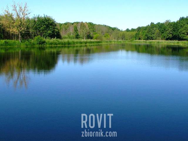 Staw - Rovit