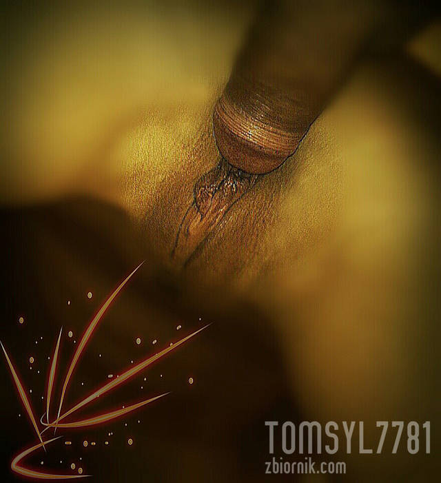 tomsyl7781