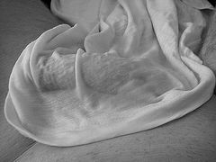 DSC02334.JPG