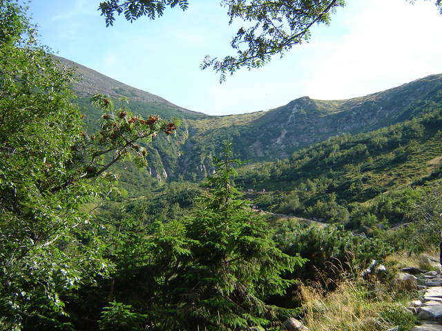 Poznaniak355