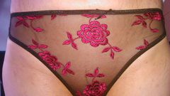 DSC_0260 (1).JPG