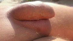 mms_img-371421731.jpg
