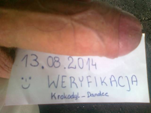 Krokodyl_Dandee