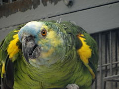DSC00257.JPG