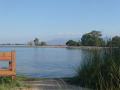 SDC17627.JPG