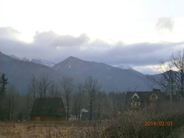 P2010008.JPG - cezary3213