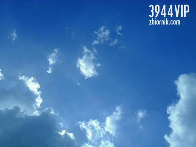 3944vip