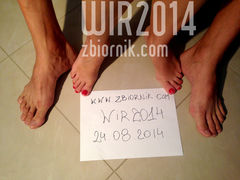 Wirofikacja