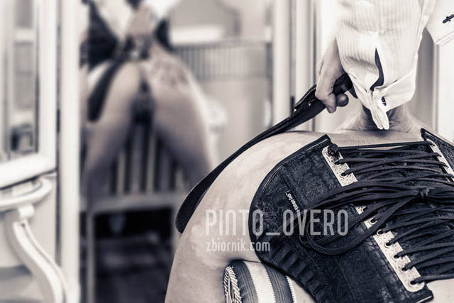 Małżeńskie przyjemności - pinto_overo