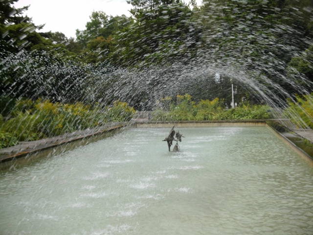 DSCI0135.JPG - lata70