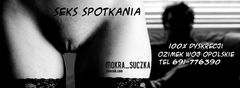 baner 