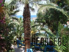 DSC00494.jpg