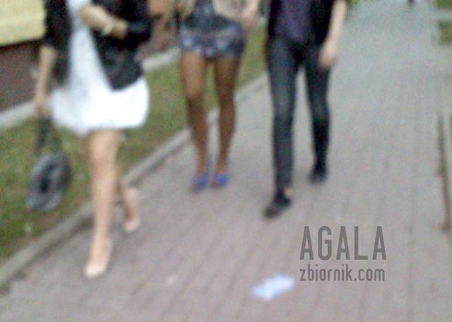 DSC_0001v.jpg - AGALA