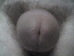 DSC_0030.jpg