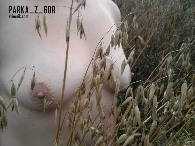 parka_z_gor