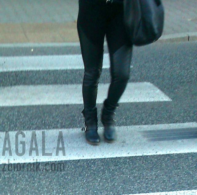 DSCcw0009L.jpg - AGALA