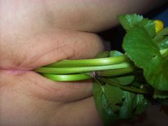 100_1832.jpg