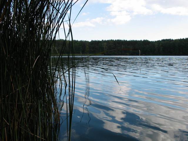 620925_432610440114092_1313864944_o.jpg - Konuss85