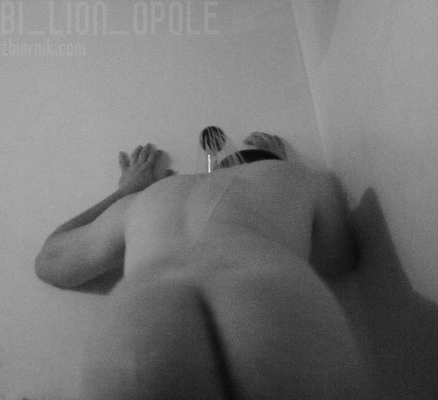 DSC00217_1.JPG - bi_lion_opole