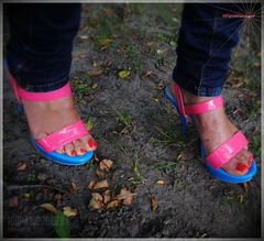 Candy Shoes 12