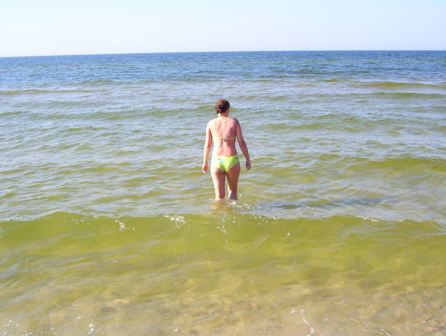 Obraz 042.jpg - fajkowi