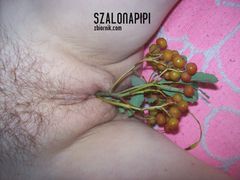 100_2774.jpg