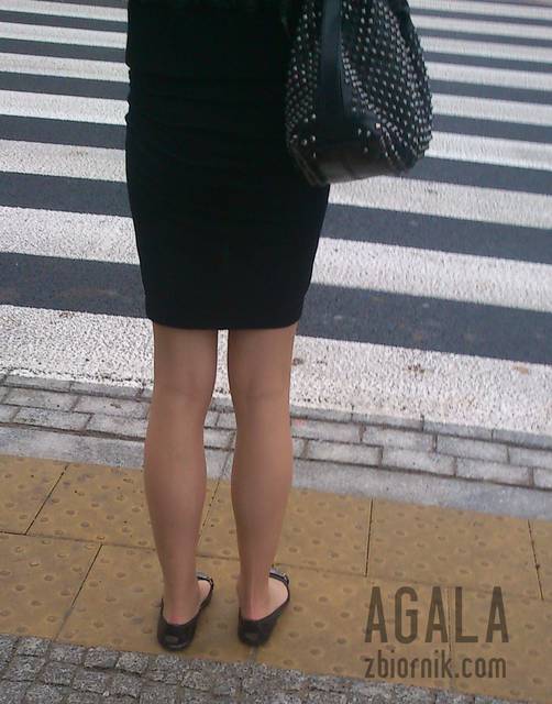 DSCct0033kl.jpg - AGALA