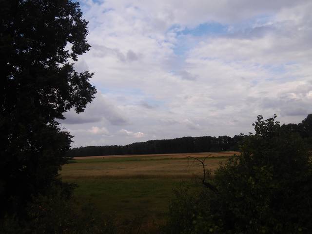 20140710_172550.jpg - Sewe