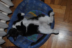 DSC_0176.JPG