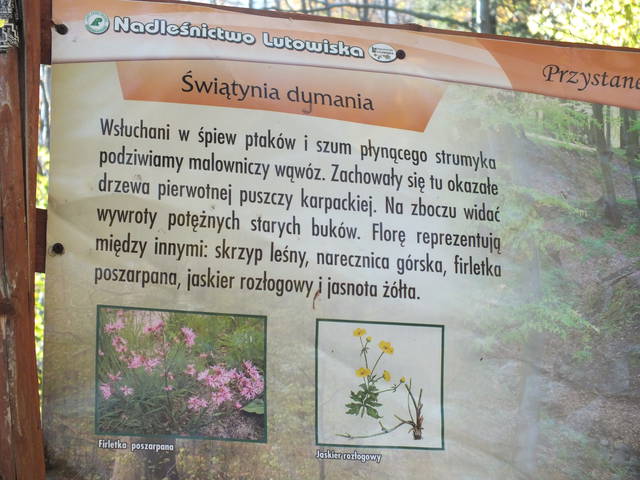 dziadekh