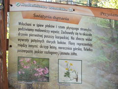 Jedna  kreska ma znaczenie- pasuje na Zbiornik