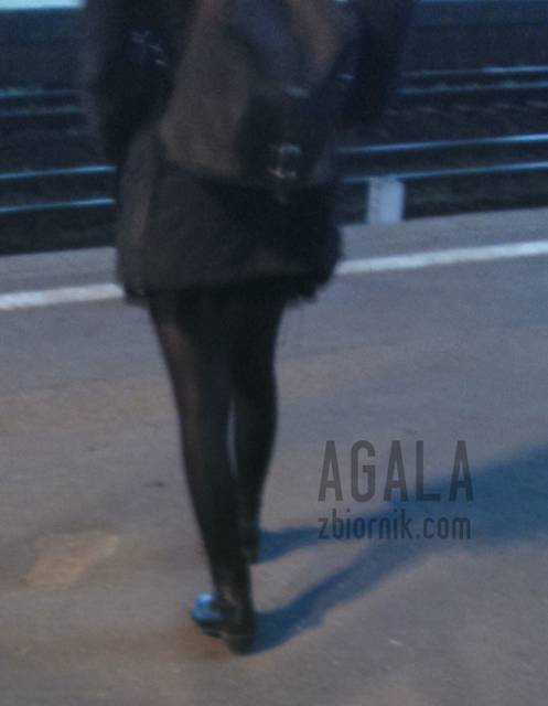 DSC_0200cz.jpg - AGALA