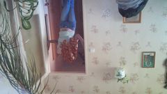 20141019_151242.jpg