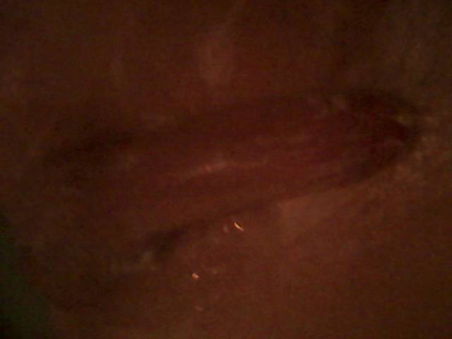 Lapke