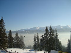 DSC00315.JPG