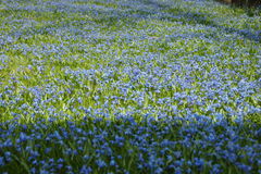 DSC09579.JPG
